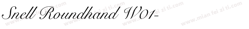 Snell Roundhand W01字体转换